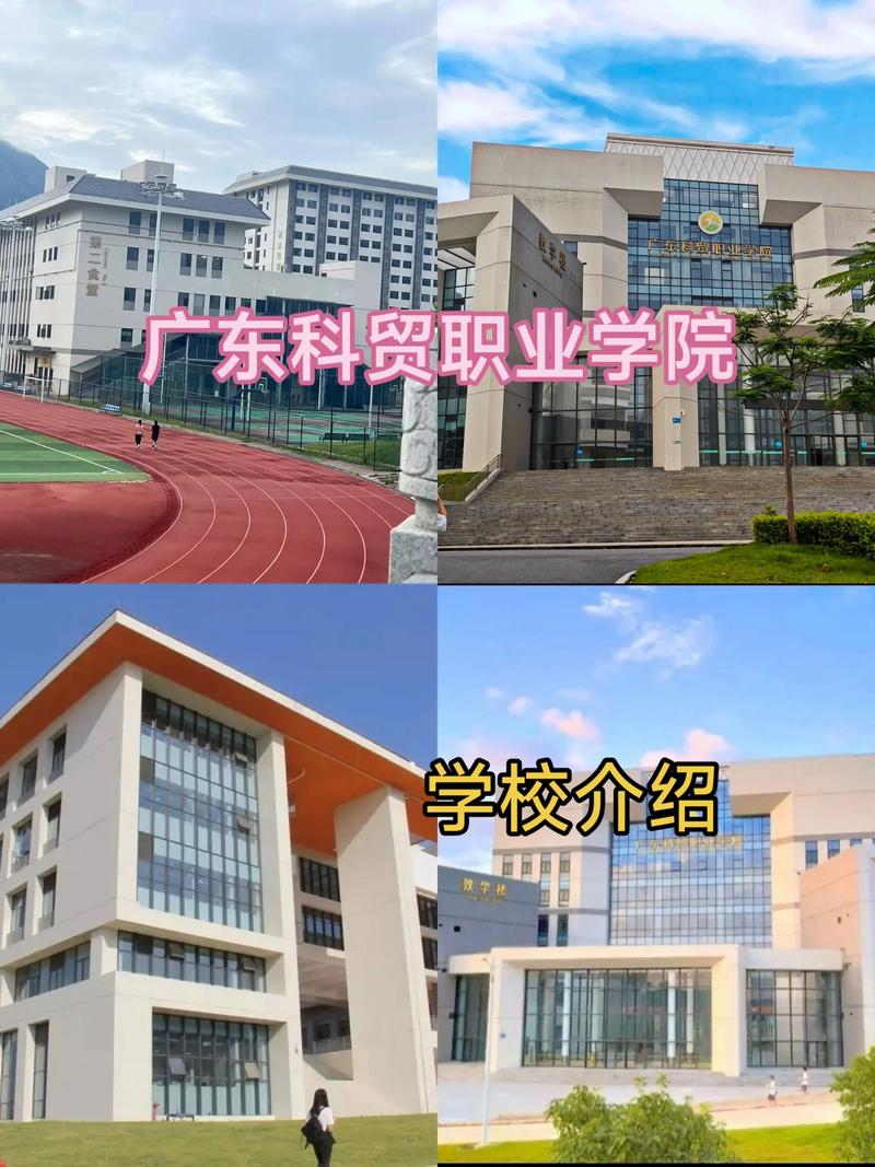 学校